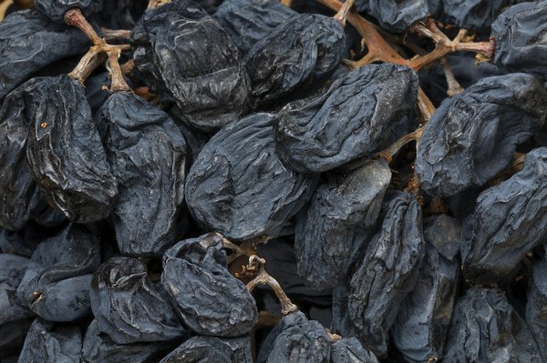 Quelles sont les meilleures périodes pour une visite des caves à vin de Porto durant les vendanges?